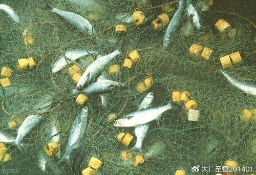 AquaTech 2026 馬來西亞漁業(yè)展覽會 領航漁業(yè)新紀元，驅(qū)動畜牧漁業(yè)飼料銷售創(chuàng)新